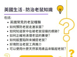 英國老鼠預防知識 - 點樣預防老鼠走進家居 有用工具必睇攻略