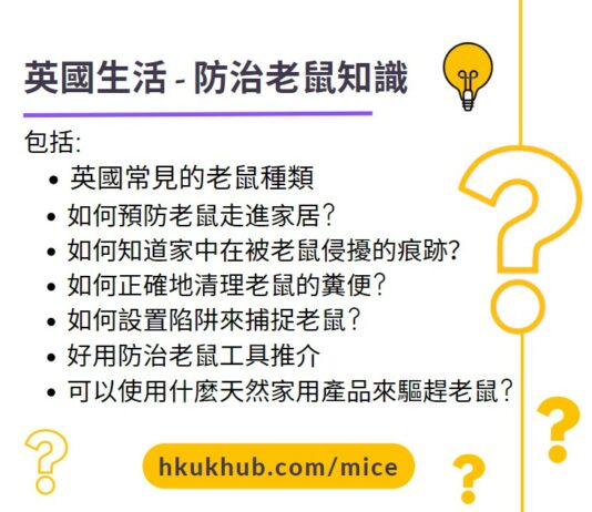 英國老鼠預防知識 - 點樣預防老鼠走進家居 有用工具必睇攻略